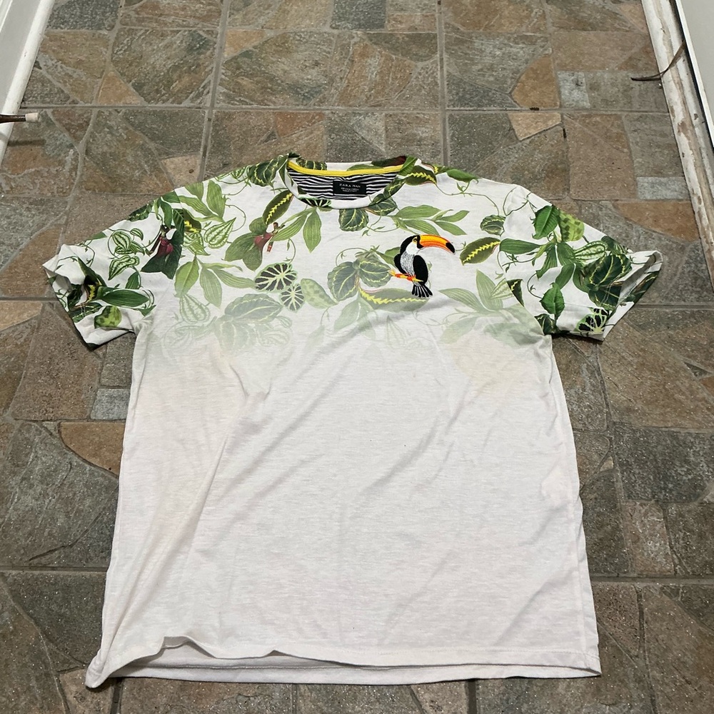 Zara Green and White Short Sleeve Tee